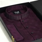 Premium Panjabi P-519