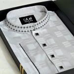 Premium Panjabi P-522