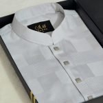 Premium Panjabi P-315