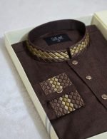 Premium Panjabi P-296