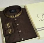 Premium Panjabi P-296 - Image 2