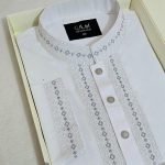 Premium Panjabi P-353