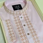 Premium Panjabi P-387