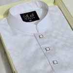 Premium Panjabi P-446