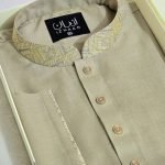 Premium Panjabi P-466