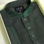 Premium Panjabi P-477