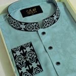 Premium Panjabi P-494