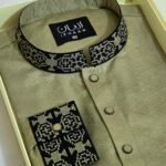 Premium Panjabi P-433