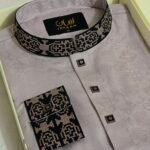 Premium Panjabi P-496