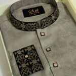 Premium Panjabi P-495