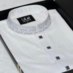 Premium Panjabi P-551