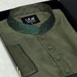 Premium Panjabi P-564