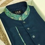 Premium Panjabi P-569