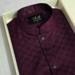 Premium Panjabi P-571