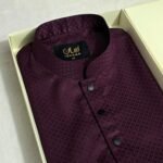 Premium Panjabi P-579