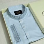 Premium Panjabi P-581