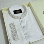 Premium Panjabi P-582