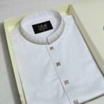 Premium Panjabi P-586