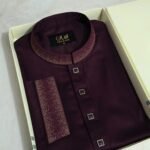 Premium Panjabi P-589