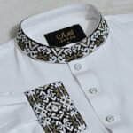 Premium Panjabi P-605