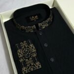 Premium Panjabi P-629