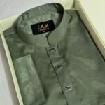 Premium Panjabi P-641