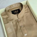 Premium Panjabi P-644