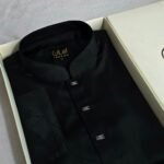 Premium Panjabi P-645