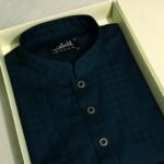 Premium Panjabi P-653