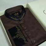 Premium Panjabi P-696